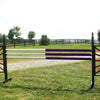 Half & Half Colored CUT Rails/Poles Wood Horse Jumps B/3