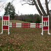 6ft Double Colored Solid Panels Jumper Wing Standards Horse Jumps #260 - Platinum Jumps