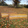 Natural Bark Mini Roll Top Horse Jumps Set/2 - Platinum Jumps