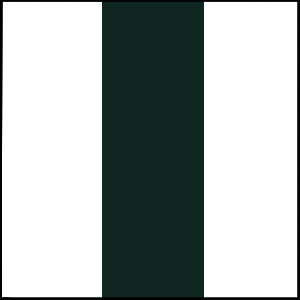 10ft Center Colored Stripe CUT Rails/Poles Wood Horse Jumps