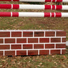 Brick Pattern Wall Wood Horse Jumps Set/2 - Platinum Jumps