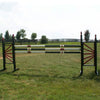 6ft Colored Side Fan Finial Black Jumper Wing Standards Horse Jumps #250 - Platinum Jumps
