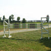 6ft Cut Rail Square Design Jumper Wing Standards #253 - Platinum Jumps