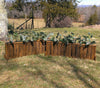 Natural Bark Panel Brush Box Horse Jumps Set/2 - Platinum Jumps